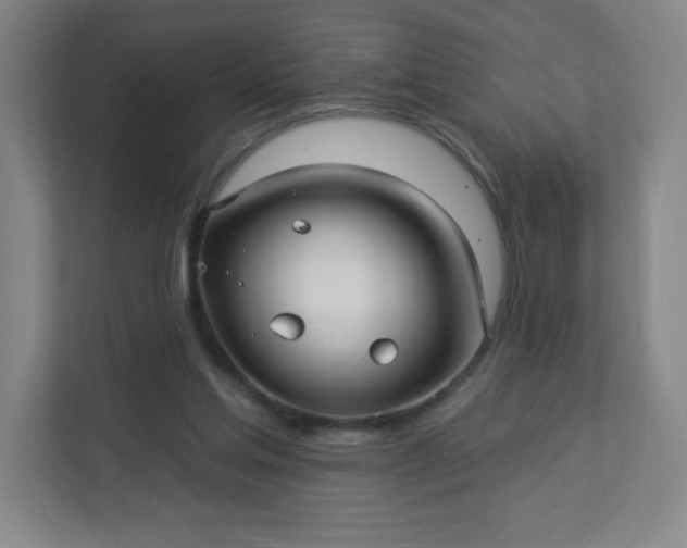 X0000113300205200909281111