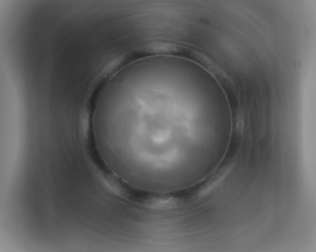 X0000113300206200909281111