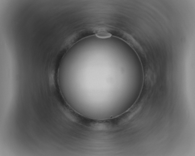 X0000113300209200909281111