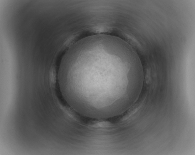 X0000113300210200909281111