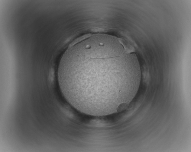 X0000113300211200909281111