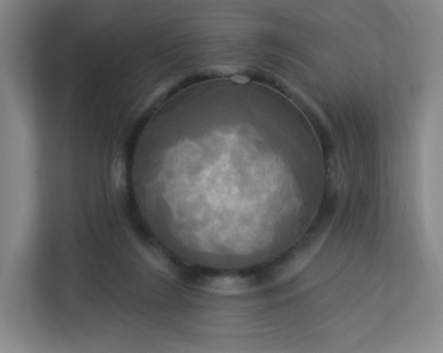 X0000113300212200909281111