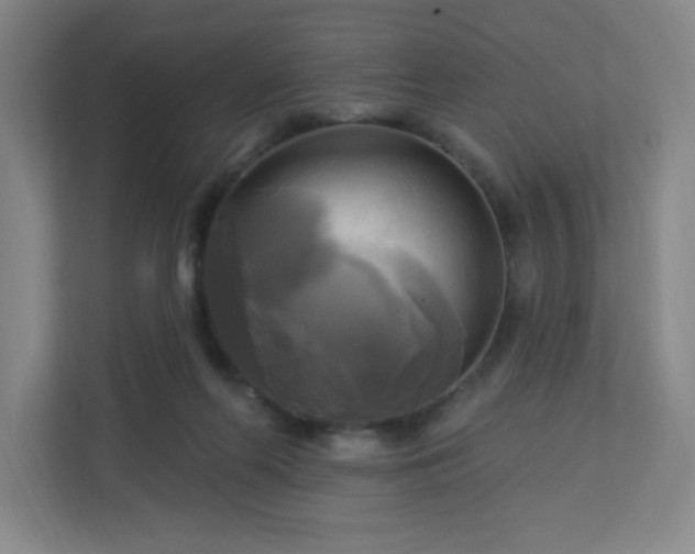 X0000113300214200909281111