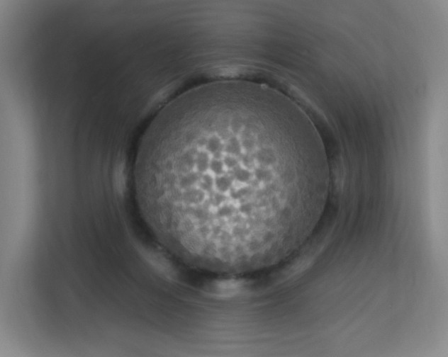 X0000113300216200909281111