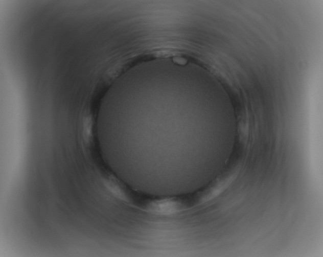 X0000113300219200909281111