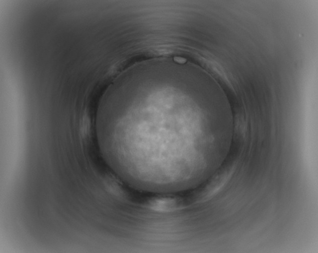 X0000113300220200909281111