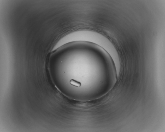 X0000113300221200909281111