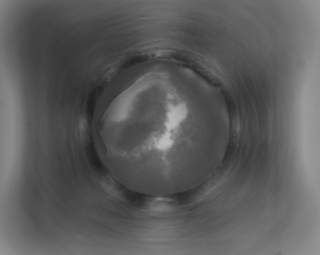 X0000113300222200909281111