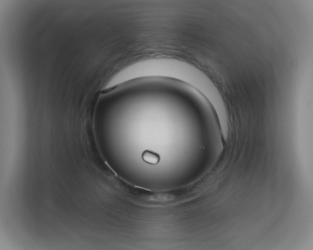 X0000113300225200909281111