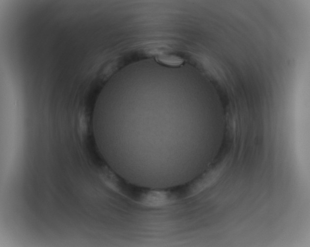 X0000113300227200909281111