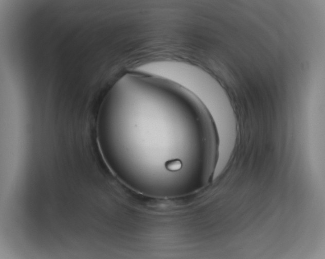 X0000113300229200909281111