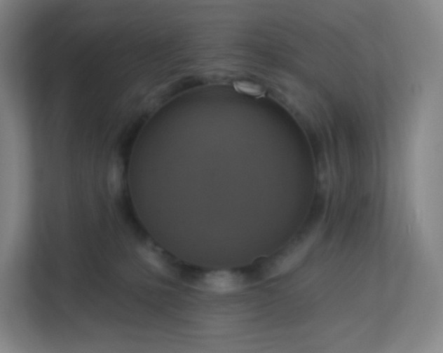 X0000113300231200909281111