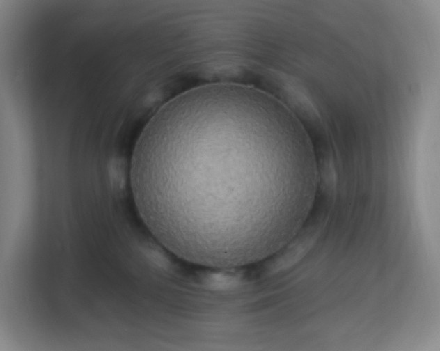 X0000113300232200909281111