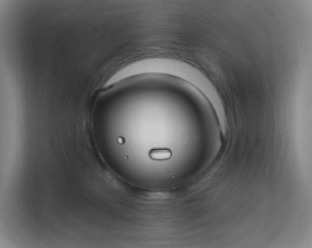 X0000113300233200909281111