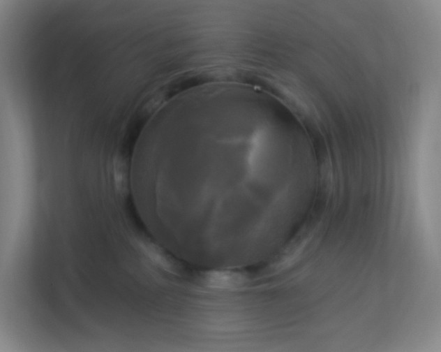 X0000113300234200909281111