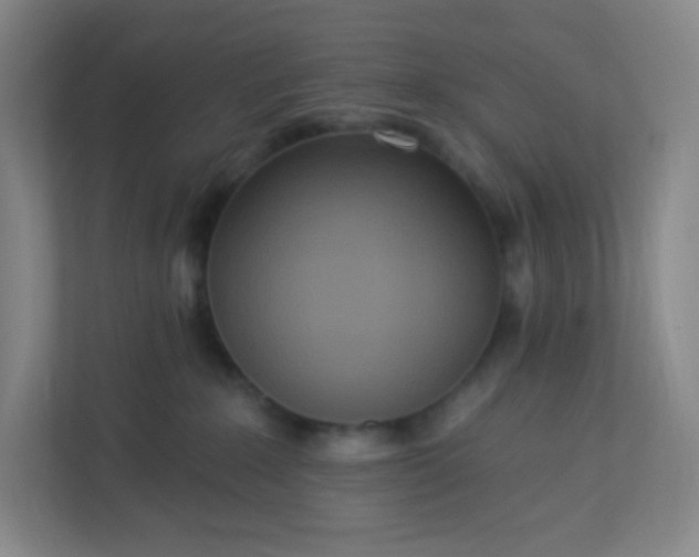 X0000113300235200909281111