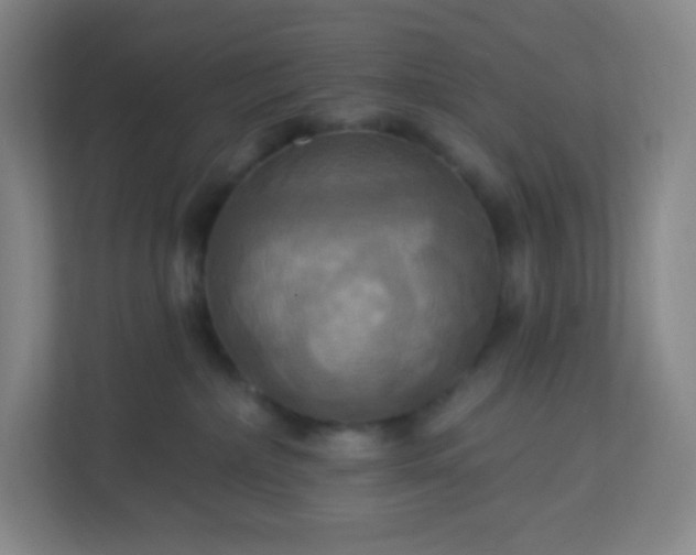 X0000113300236200909281111