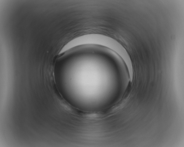 X0000113300237200909281111