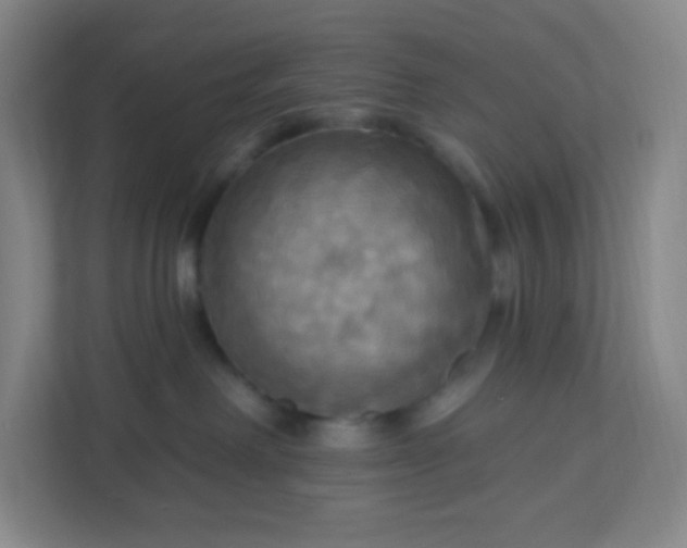 X0000113300238200909281111