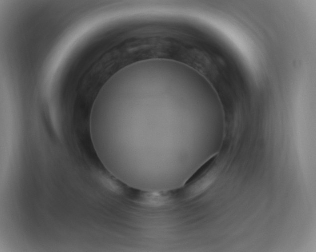 X0000113300239200909281111