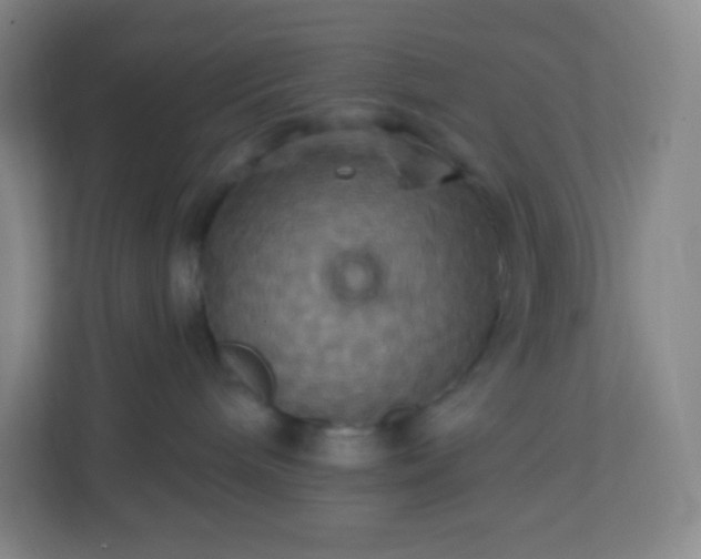 X0000113300240200909281111