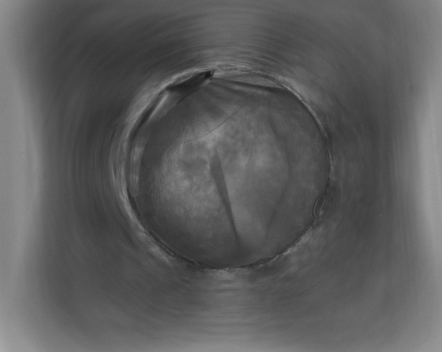 X0000113300241200909281110