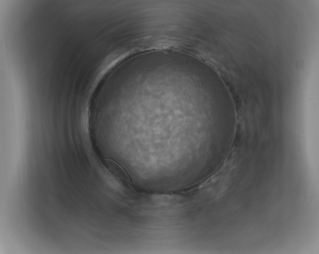 X0000113300242200909281110