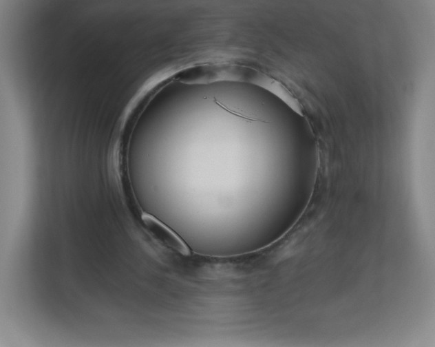 X0000113300244200909281110