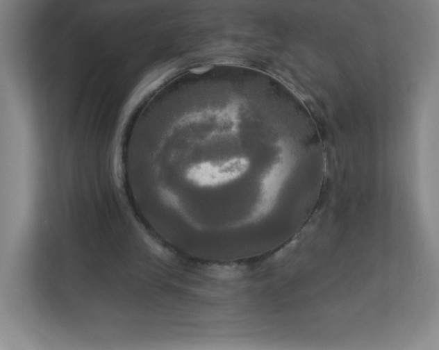 X0000113300245200909281110