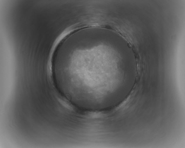 X0000113300246200909281110