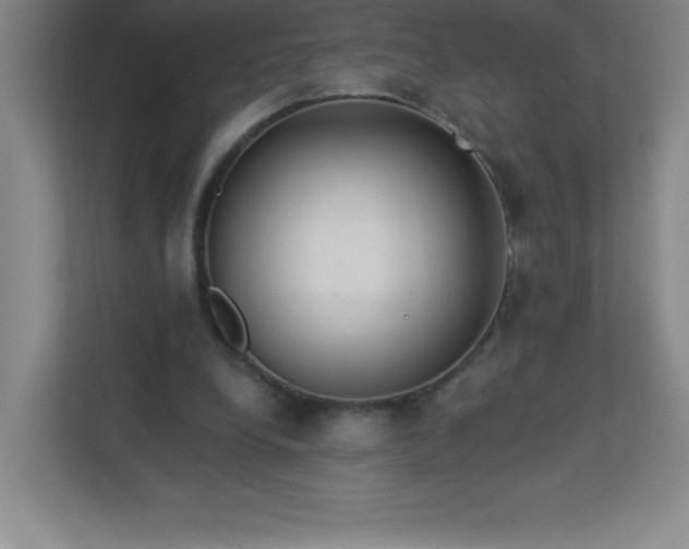 X0000113300248200909281110