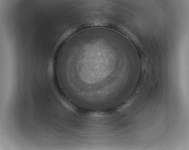 X0000113300250200909281110