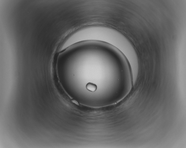 X0000113300252200909281110