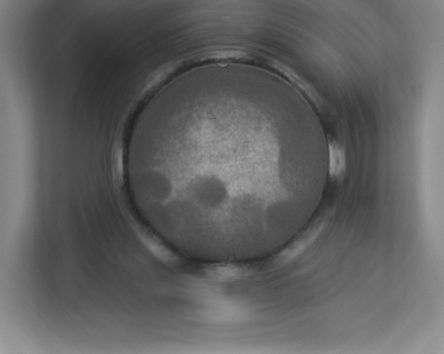 X0000113300253200909281110