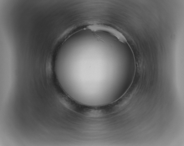 X0000113300256200909281110