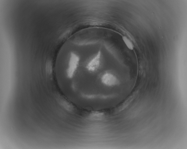 X0000113300257200909281110