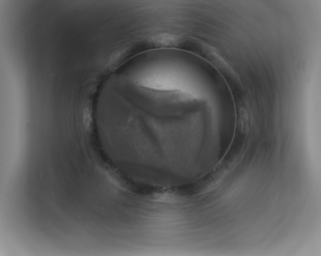 X0000113300259200909281110