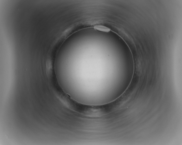 X0000113300260200909281110