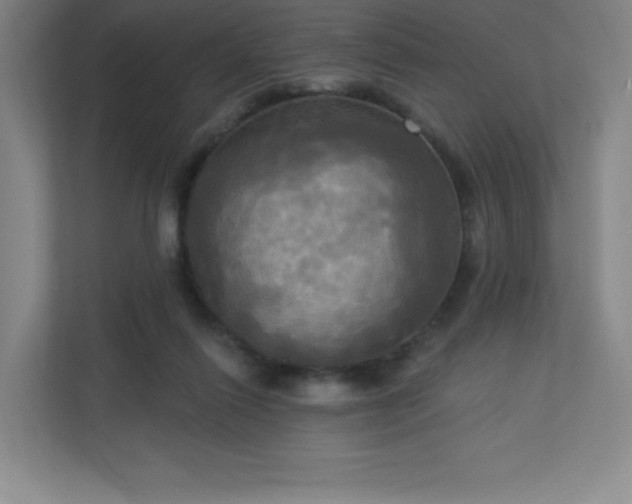 X0000113300262200909281110