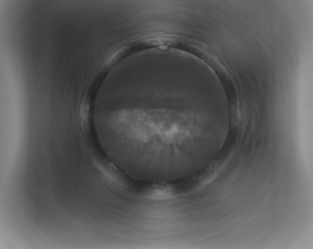 X0000113300263200909281110