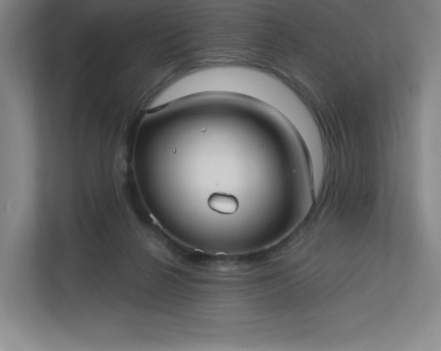 X0000113300264200909281110