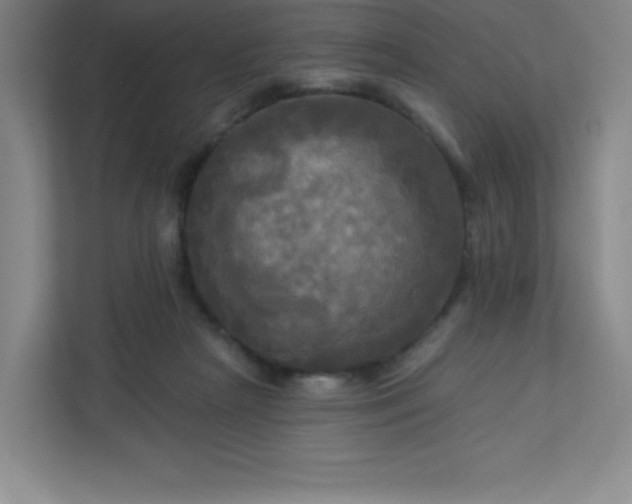 X0000113300265200909281110