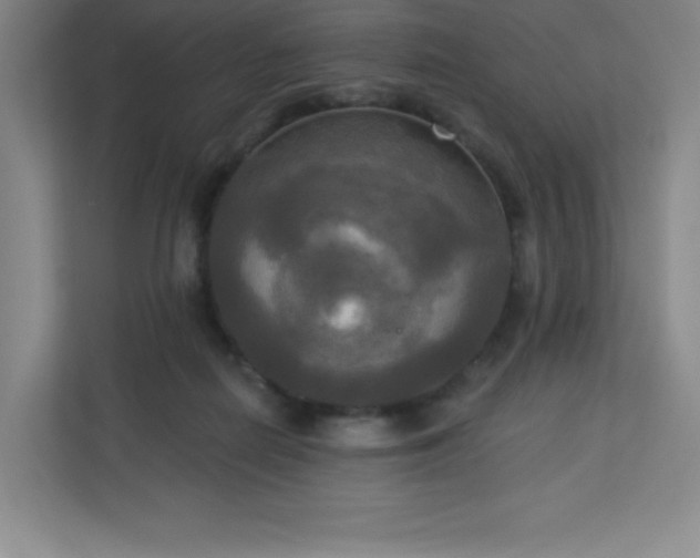 X0000113300266200909281110