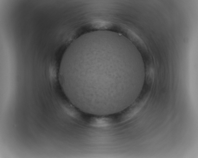 X0000113300268200909281110