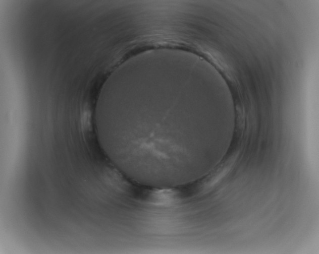 X0000113300269200909281110