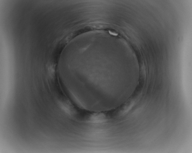 X0000113300271200909281110