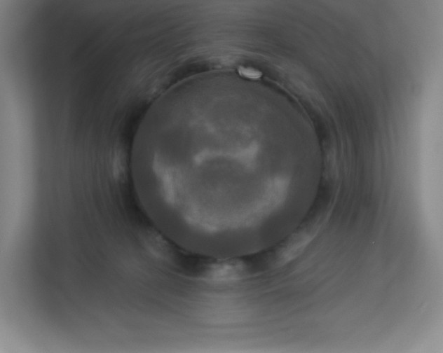 X0000113300274200909281110