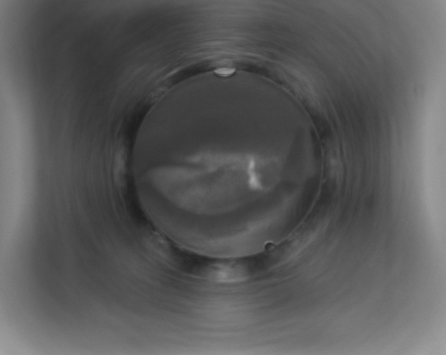 X0000113300275200909281110