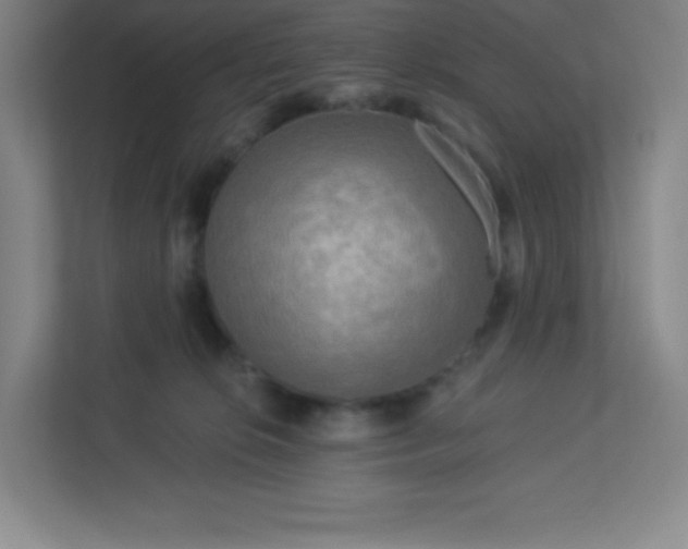 X0000113300276200909281110