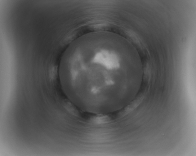 X0000113300278200909281110